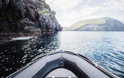 ESCURSIONE IN BARCA A SAN FELICE